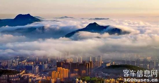 1711938402597240.jpg 1.jpg