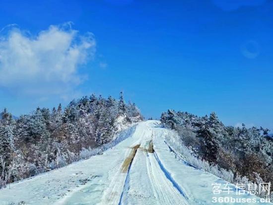 1717397166152168.jpg 4.jpg