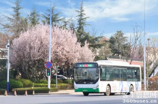 1718774976548459.png 3.png